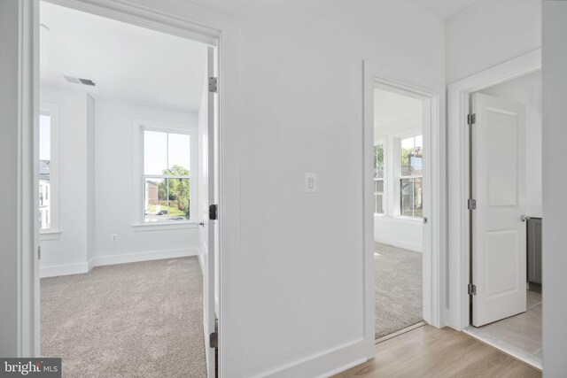 corridor with a wealth of natural light and light colored carpet