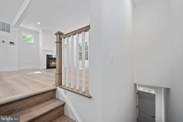 stairs with a healthy amount of sunlight and hardwood / wood-style floors