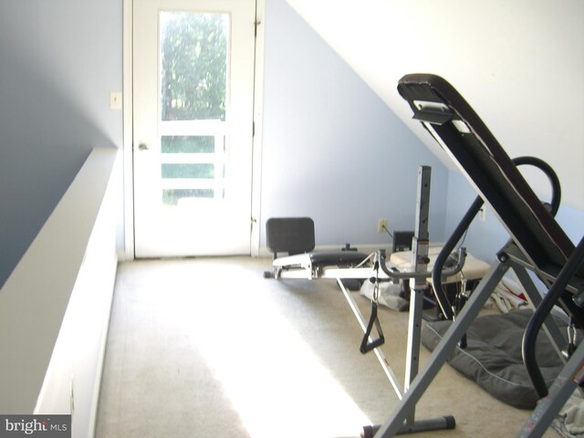 30087 Cross Woods Dr, Mechanicsville, MD 20659 - exercise room with carpet