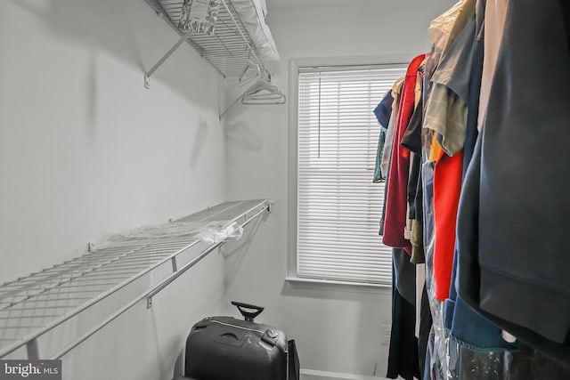 view of spacious closet