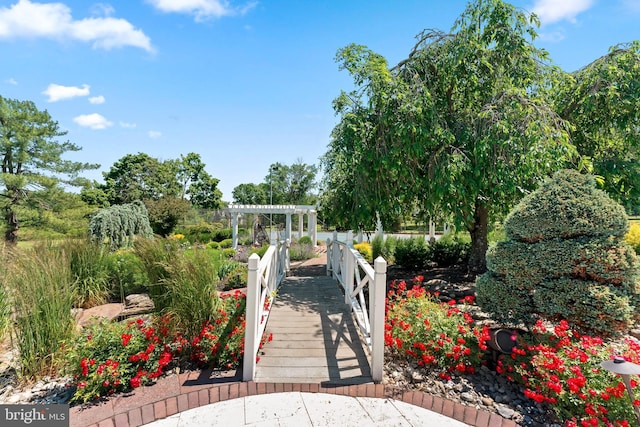 surrounding community featuring a pergola