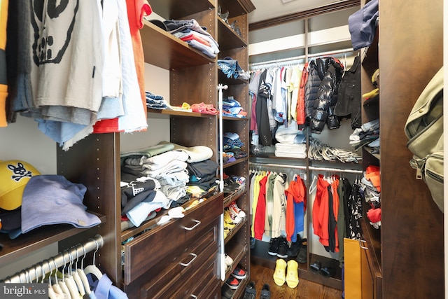 spacious closet with dark wood-type flooring