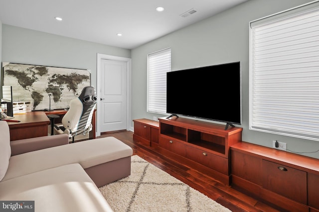 living room featuring hardwood / wood-style flooring