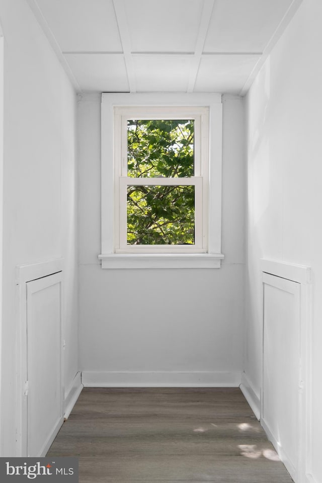 empty room featuring dark wood-type flooring