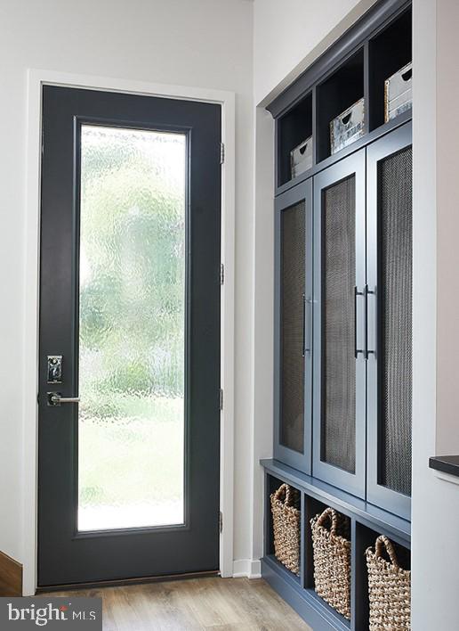 mudroom featuring a healthy amount of sunlight and light hardwood / wood-style flooring