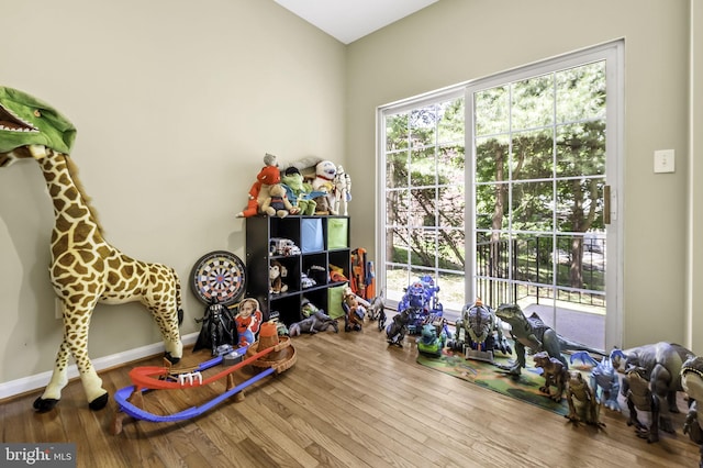 playroom featuring wood-type flooring