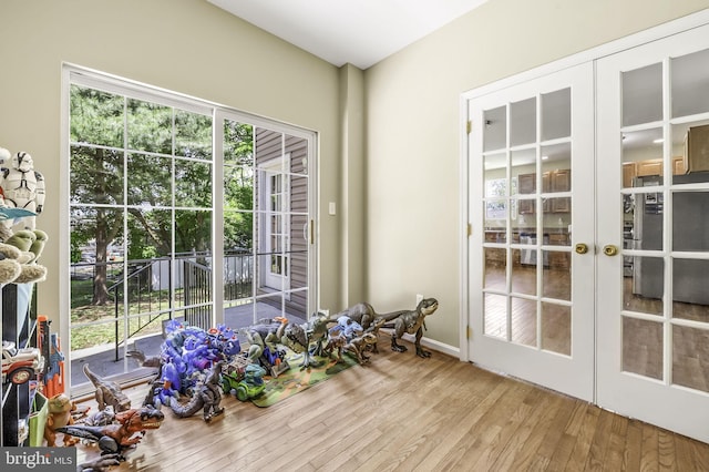 interior space with french doors, wood-type flooring, and plenty of natural light