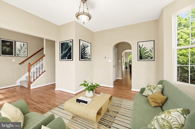 living room featuring hardwood / wood-style flooring