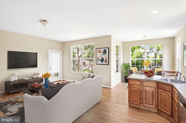 living room with a wealth of natural light, light hardwood / wood-style flooring, and sink