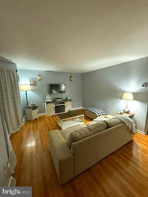 living room featuring light hardwood / wood-style flooring