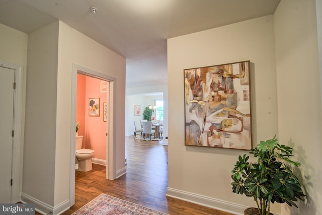 hallway with wood-type flooring