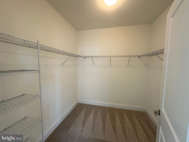 spacious closet with carpet floors