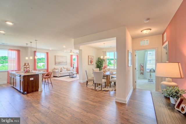 entrance foyer with ceiling fan, dark hardwood / wood-style flooring, and plenty of natural light