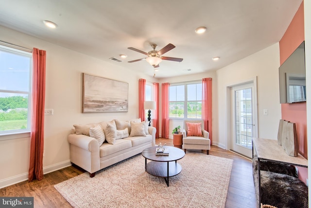 living room with ceiling fan and hardwood / wood-style flooring