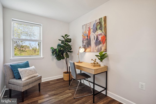 office featuring dark hardwood / wood-style floors