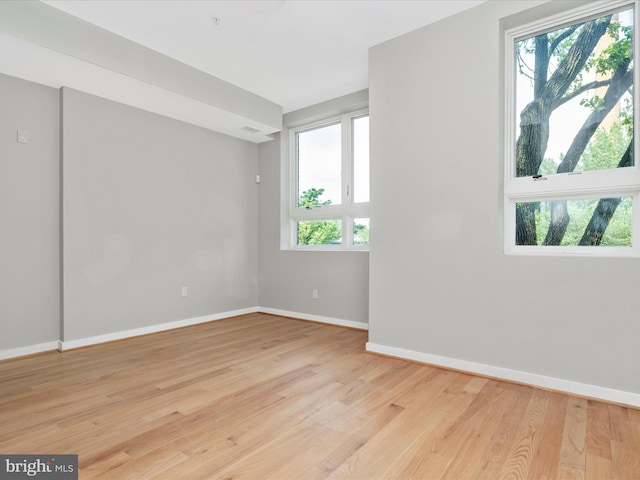 empty room featuring light wood-type flooring