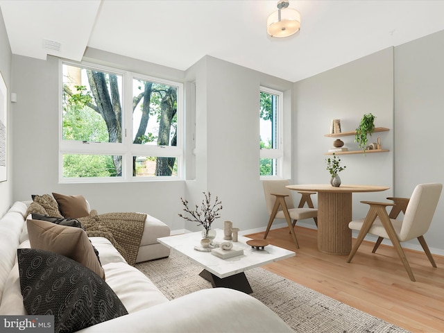 living room with light hardwood / wood-style flooring