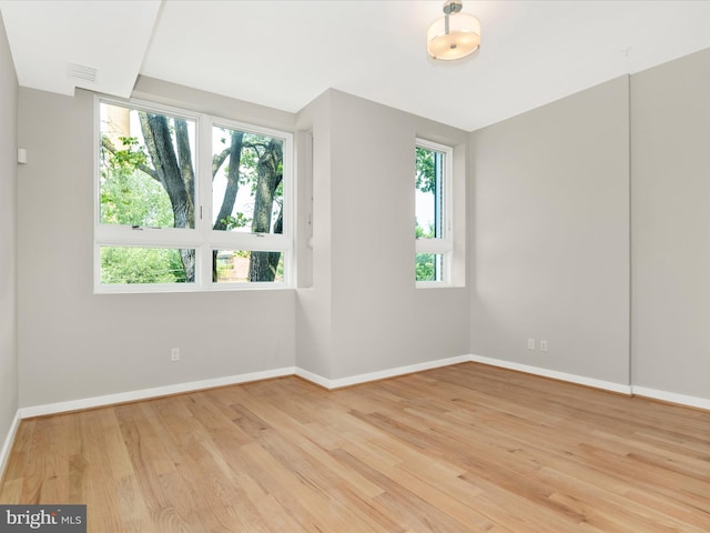 empty room featuring light hardwood / wood-style flooring