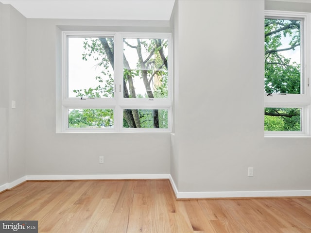 spare room with a healthy amount of sunlight and light hardwood / wood-style flooring