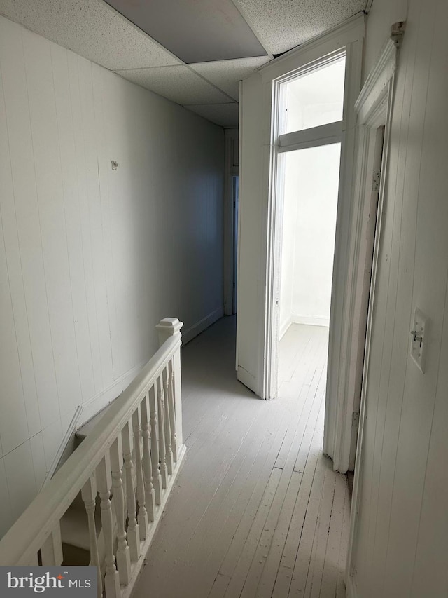 corridor featuring light hardwood / wood-style flooring and a paneled ceiling