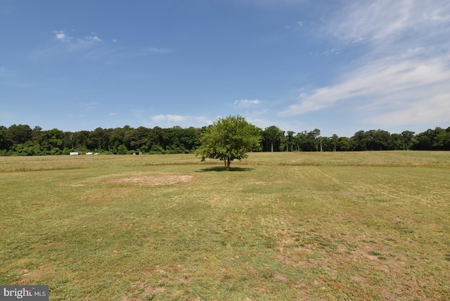 view of local wilderness featuring a rural view