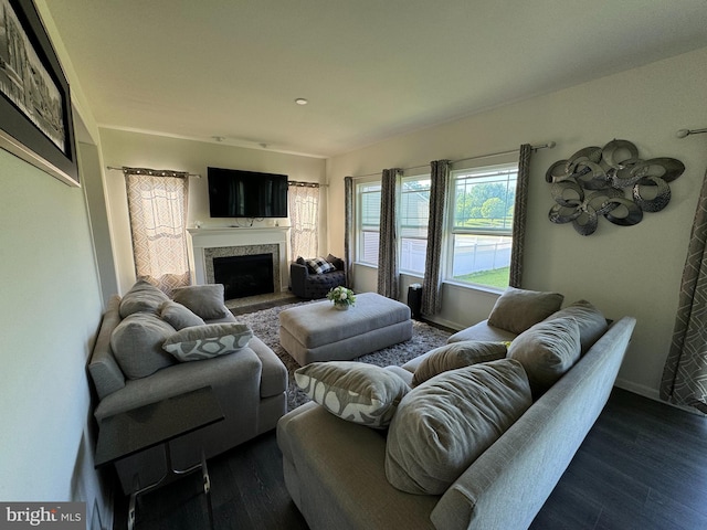 living room featuring dark hardwood / wood-style flooring