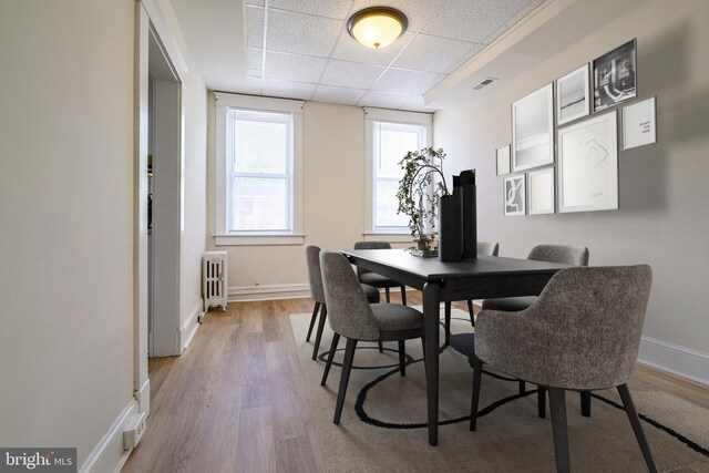 dining room with radiator heating unit, light hardwood / wood-style floors, and a drop ceiling