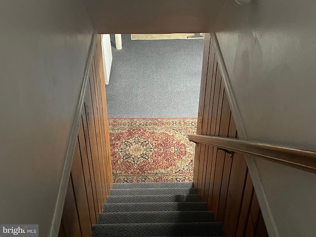 stairs featuring carpet floors