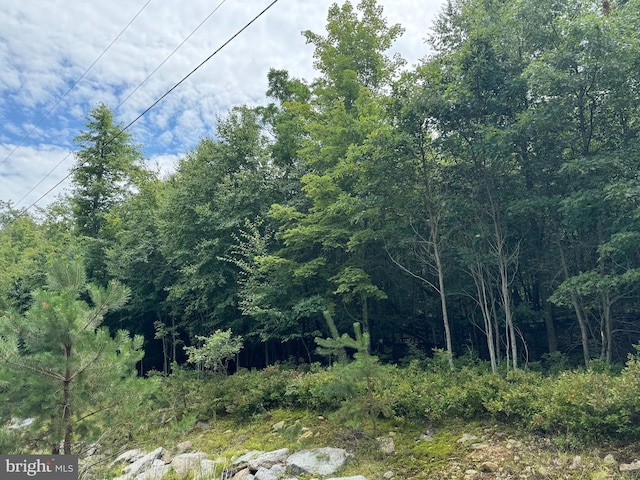 MV-073 Stoney Mountain Rd, Hazle Township PA, 18202 land for sale