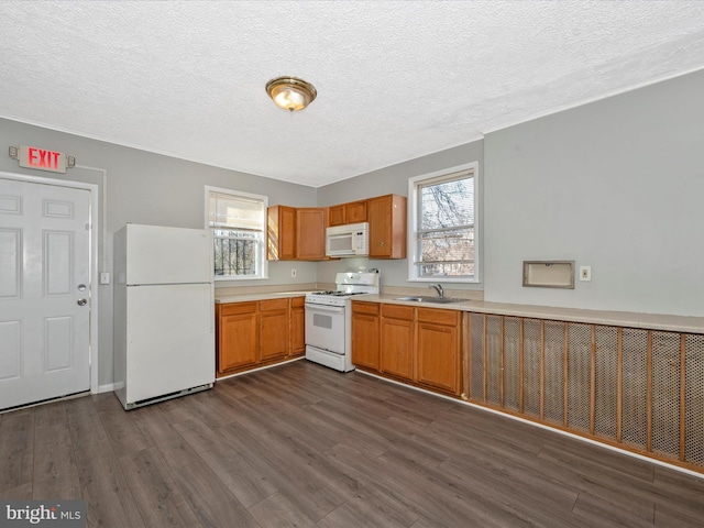 kitchen with a textured ceiling, dark hardwood / wood-style flooring, white appliances, and sink