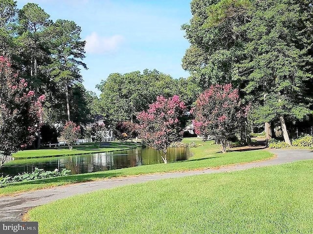 view of community with a water view and a lawn