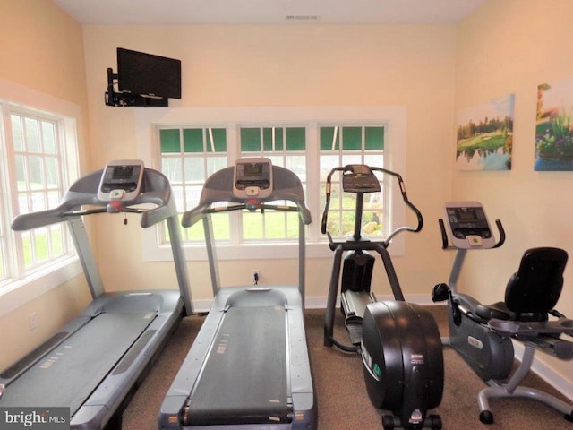 workout room featuring carpet