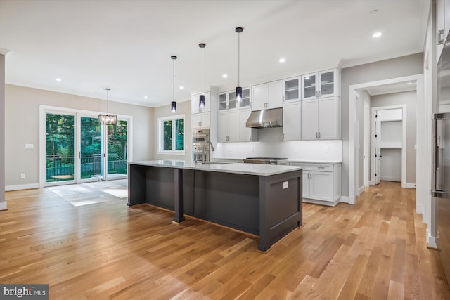 kitchen with light wood finished floors, light countertops, under cabinet range hood, white cabinetry, and a sink