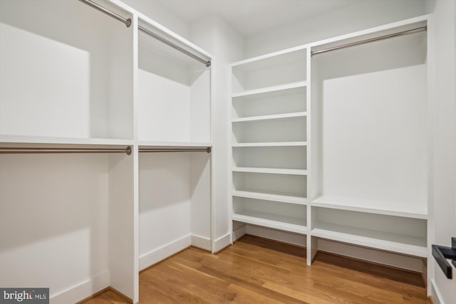 walk in closet with wood finished floors