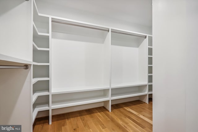 spacious closet featuring wood finished floors