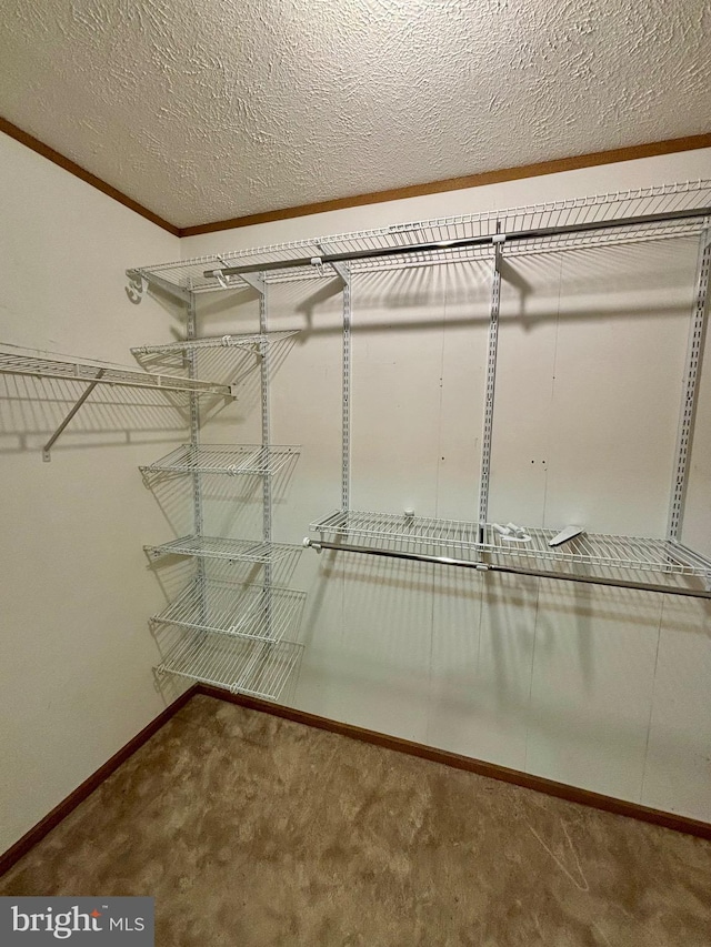 spacious closet with carpet floors