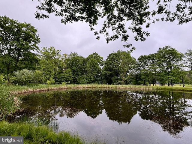 view of water feature