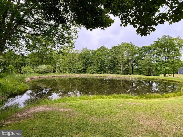 view of water feature