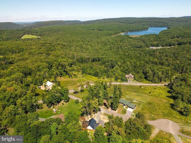 drone / aerial view with a wooded view and a water view