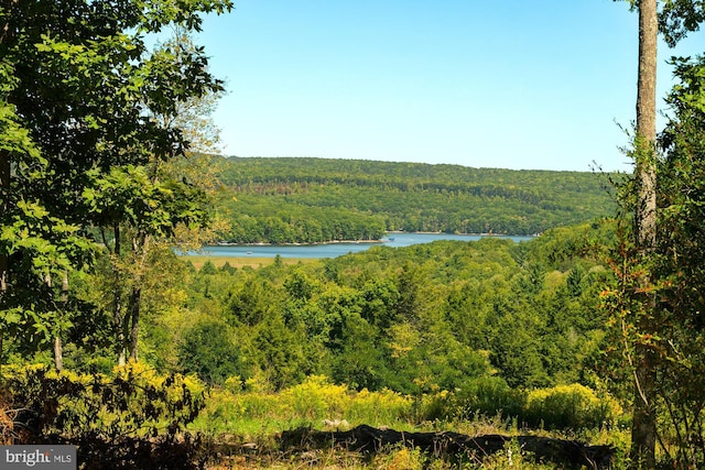 view of local wilderness with a water view and a wooded view