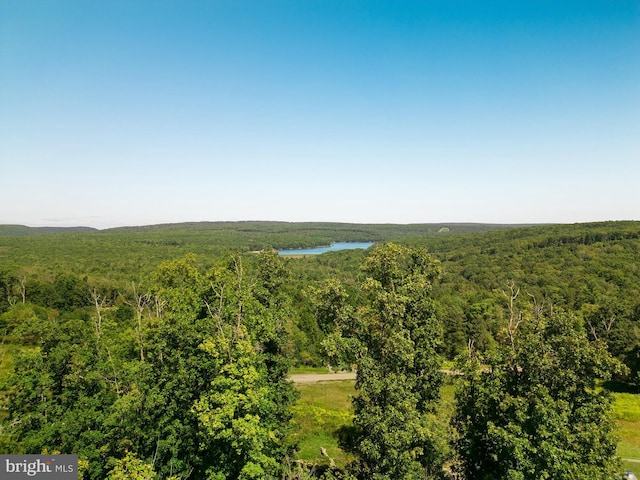 aerial view with a wooded view and a water view