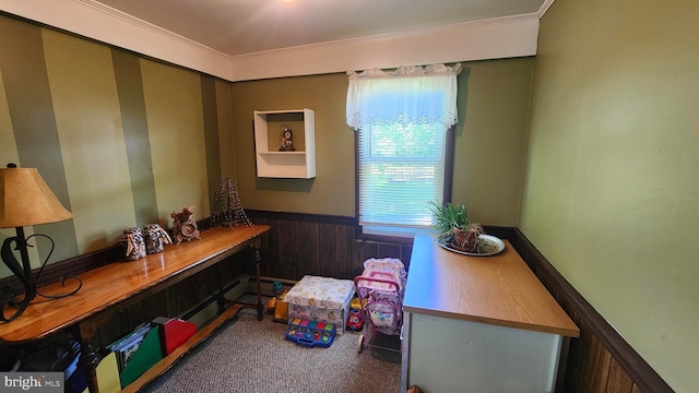 interior space with wooden walls and crown molding