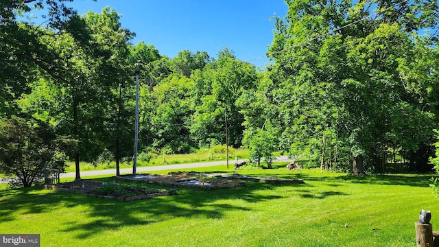 view of property's community featuring a yard