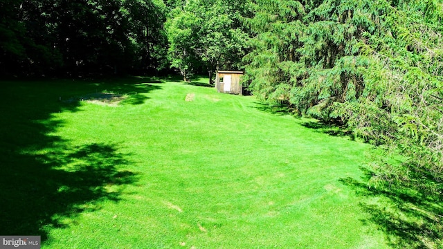 view of yard with a shed