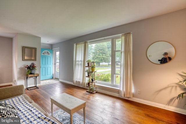 living room with a wealth of natural light and wood-type flooring