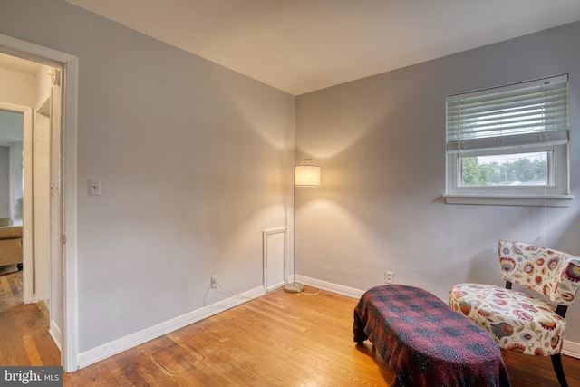 sitting room featuring light wood-type flooring