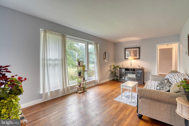 living room with hardwood / wood-style flooring