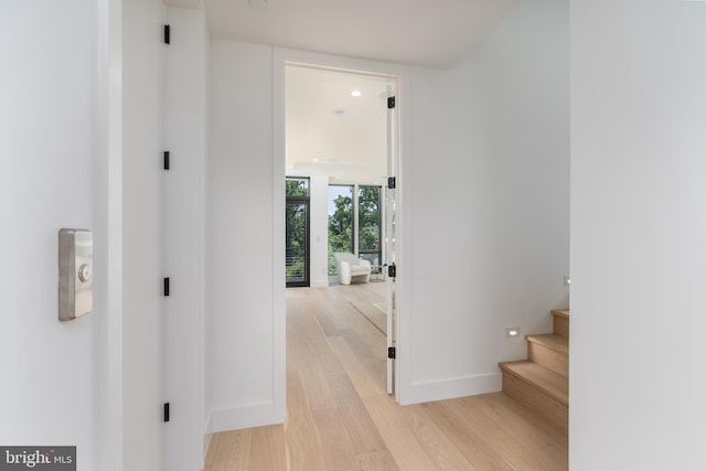 hall with light hardwood / wood-style flooring and a wall of windows