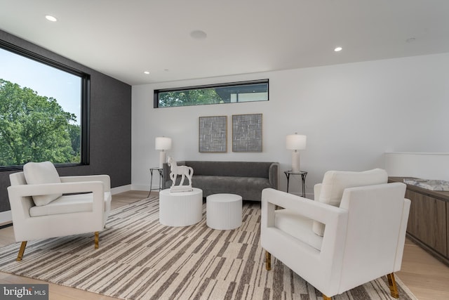 living room featuring light hardwood / wood-style flooring