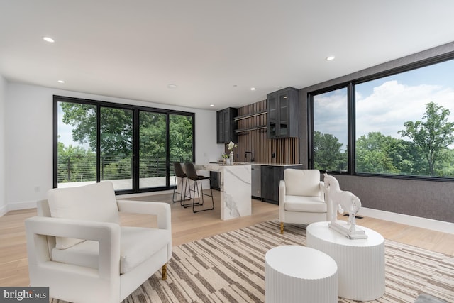 living room featuring light hardwood / wood-style floors and a wealth of natural light